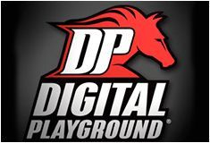 Digital_Playground_logo