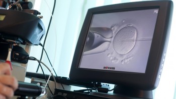 Doctor Katarzyna Koziol injects sperm directly into an egg during IVF procedure called Intracytoplasmic Sperm Injection at Novum clinic in Warsaw
