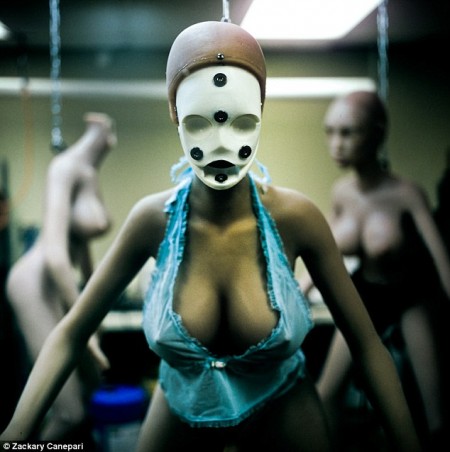 Custom-made: Each of the life-size silicone Real Dolls, which cost around $7,000, are tailored to suit customers' fantasies.