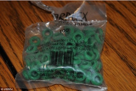 He had a bag of latex rings, pictured, used for castrating calves.