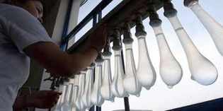 Condoms ‘too small’ for Ugandan men Condoms ‘too small’ for Ugandan men