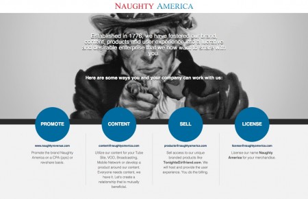 New business-to business site NaughtyAmericaBusiness.com