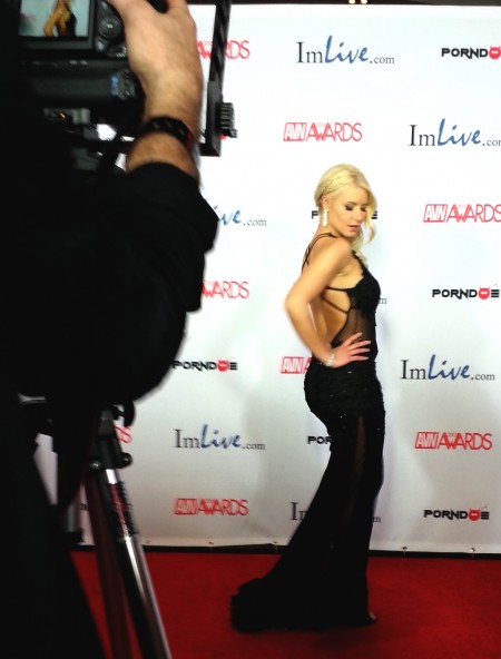 Anikka Albrite on the 2015 AVN Awards red carpet