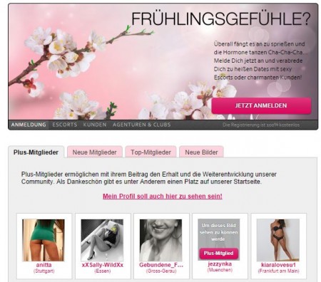 German brothel advertises for full-time prostitute 'tester'