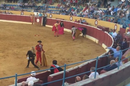 Swedish-porn-star-jumps-into-bullfighting-ring-to-comfort-wounded-animal