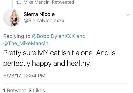 Twitter Meltdown: Bobbi Dylan Falsely Claims Mike Mancini Murdered His Cat Twitter Meltdown: Bobbi Dylan Falsely Claims Mike Mancini Murdered His Cat