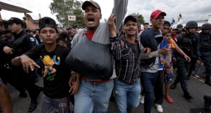 List Of Pornstars Willing To House People From The Migrant Caravan