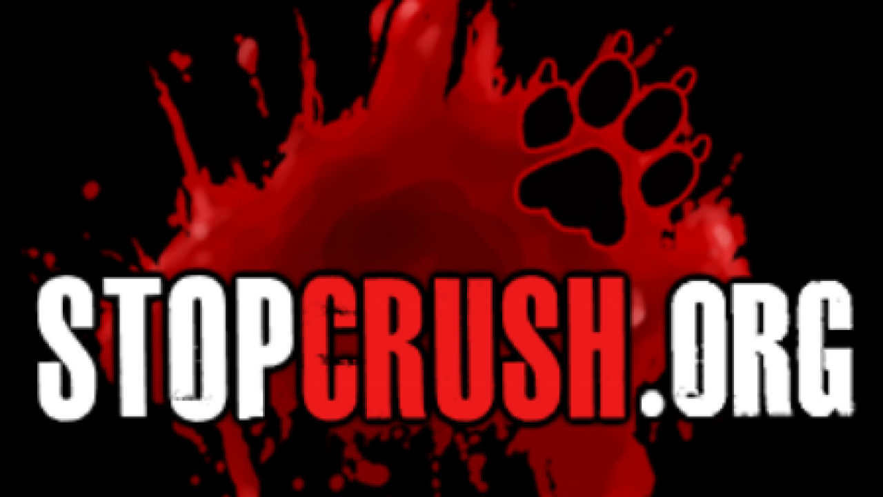 The TRPWL logo hinting at leaked adult videos