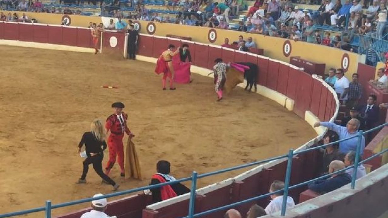 1280px x 720px - Watch Swedish porn star jump into bullfighting ring to comfort wounded  animal - TRPWL