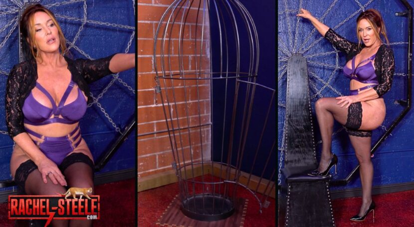 Rachel Steele Locks In Her Latest Solo Femdom POV Fantasy in Mistress Cucks Husband with a BBC